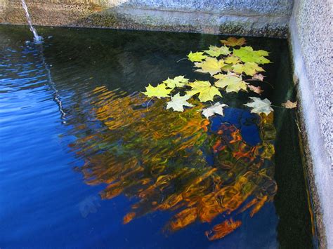 水颜色